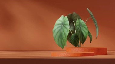 boş model turuncu renkli kıvrımlı silindir manzara için minimal görüntü, 3D görüntüleme