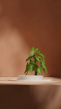 Seramik doku eğimli silindir portre en küçük sahne, 3d boş alan oluşturma