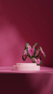 Portre minimumda, 3d boş model pembe renkli kıvrımlı silindir oluşturur