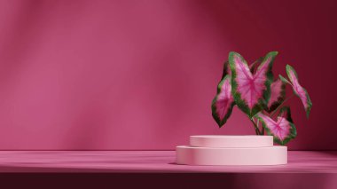 peyzaj minimumda, 3d boş modelleme pembe renkli kıvrımlı silindir