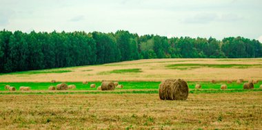 Samanlıklarla güzel bir yaz çiftliği sahnesi. Rolls and Sky ile Field Manzarası. Tarım kavramı. Uzayı Kopyala ile Tone Fotoğrafı.