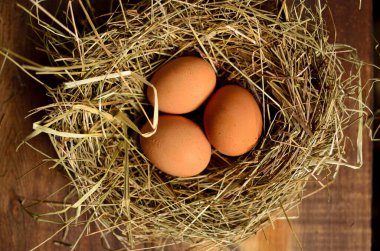 Eski ahşap bir arka planda yuvadaki tavuk yumurtaları