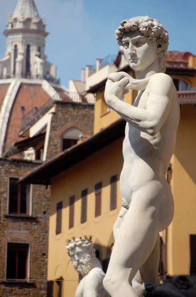 Volto Del David Michelangelo Piazza Della Signoria Sullo Sfondo Cupola — Foto Stock