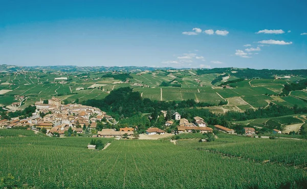 Castillo Barolo Museo Del Vino Vino Llamado Wimu Insertado Red — Foto de Stock