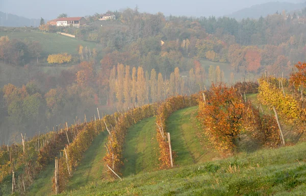 Autunno Nelle Langhe Piemontesi Una Meraviglia Colori Caldi Con Foglie — Foto Stock