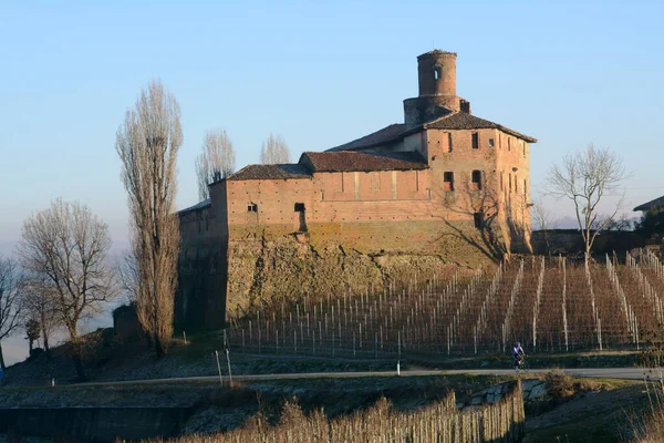 Langhe Piedmont 포도원 나타내는 곳이다 가을이면 눈덮인 알프스가 옥수수가 — 스톡 사진