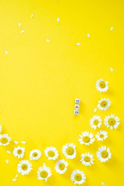 Beyaz papatyalar sarı, güneşli arka planda ve beyaz alanlar yazı yazmak için. Babalar günün kutlu olsun..