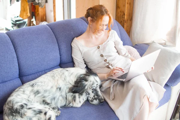 Eine schöne junge Frau sitzt in ihrem Haus und arbeitet mit ihrem Hund an einem Laptop auf der Couch. Zu Hause bleiben Stockbild