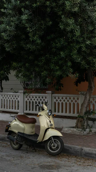 Moped Stands Olive Tree — Stock Photo, Image