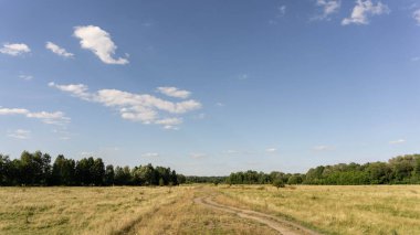 Vahşi doğada manzaralı bir yol