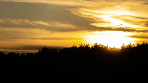 Fabuloso Paisaje Contra Sol Poniente — Foto de Stock