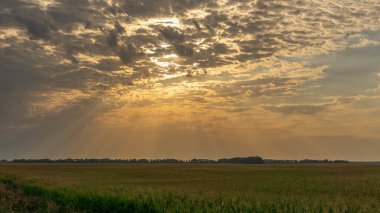 Yaz güneşinin ışınlarıyla inanılmaz güzel bir manzara.