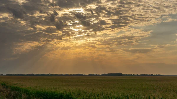 Paisagem incrivelmente bonita com os raios do sol de verão — Fotografia de Stock