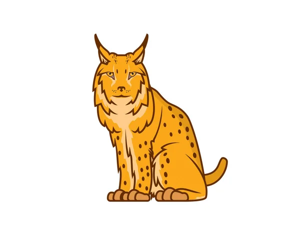 Részletes Eurázsiai Lynx Ülő Figyelő Gesztus Illusztráció — Stock Vector