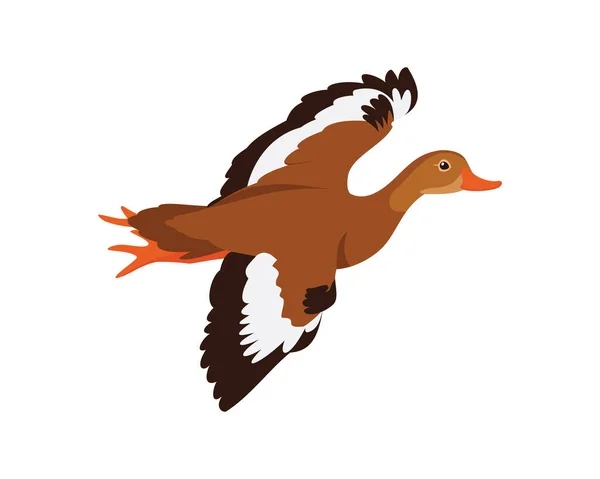 Whistling Duck Flying Duck Sky Migrazione — Vettoriale Stock