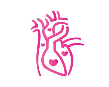 Sağlıklı İnsan Kalbi ve Kan Akışı Aşk Sembol Vektörü