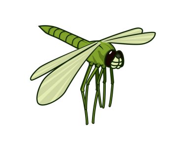 Yeşil Renk Çizim Vektörlü Detaylı Uçan Yusufçuk