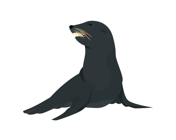 Ayrıntılı Oturan Deniz Aslanı Çizim Vektörü — Stok Vektör