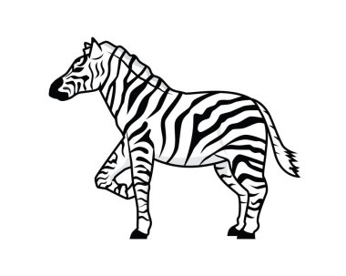 Ayrıntılı Ayakta Duran Zebra At Çizim Vektörü