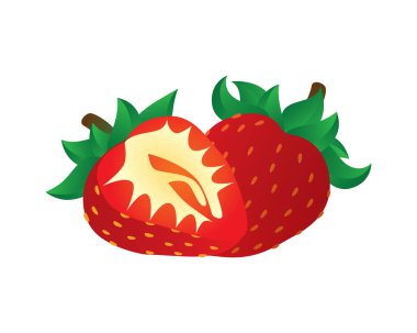 Ayrıntılı Çilek ve Dilimler Çizim Vektörü