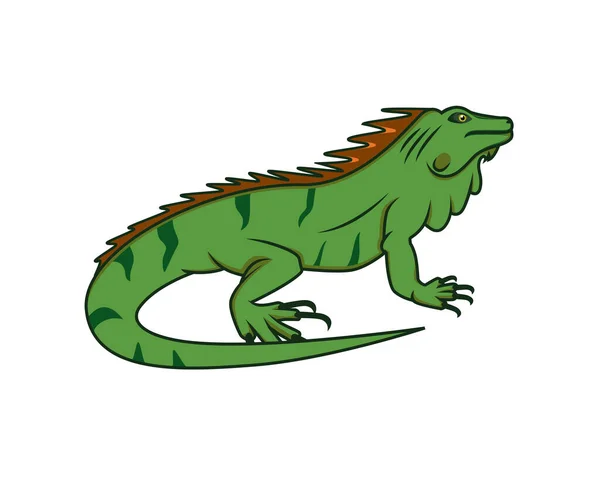 Detaljerad Krypande Iguana Reptil Djur Illustration Vektor — Stock vektor