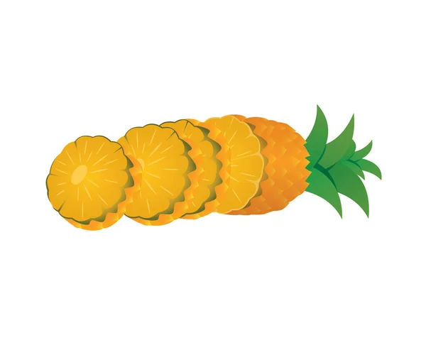Dilimler Çizim Vektörüyle Ayrıntılı Ananas — Stok Vektör