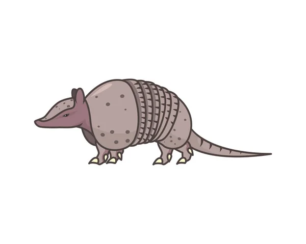 Detallado Armadillo Vector Ilustración Mamífero — Vector de stock