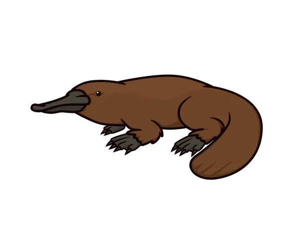 Detaljerad Platypus Den Amfibiska Djur Illustration Vektor — Stock vektor