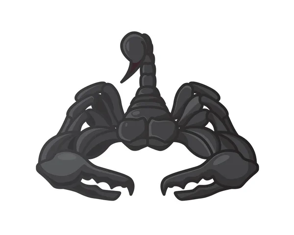 Scorpion Détaillé Avec Vecteur Illustration Vue Face — Image vectorielle