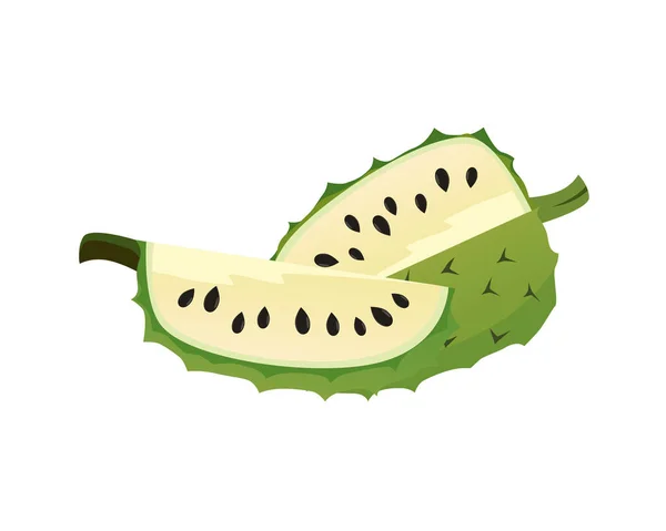 Extailed Soursop Slices Illustration Vector — 스톡 벡터