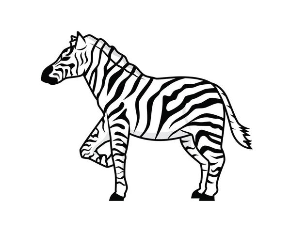 Λεπτομερής Μόνιμη Απεικόνιση Άλογο Zebra Διάνυσμα — Διανυσματικό Αρχείο