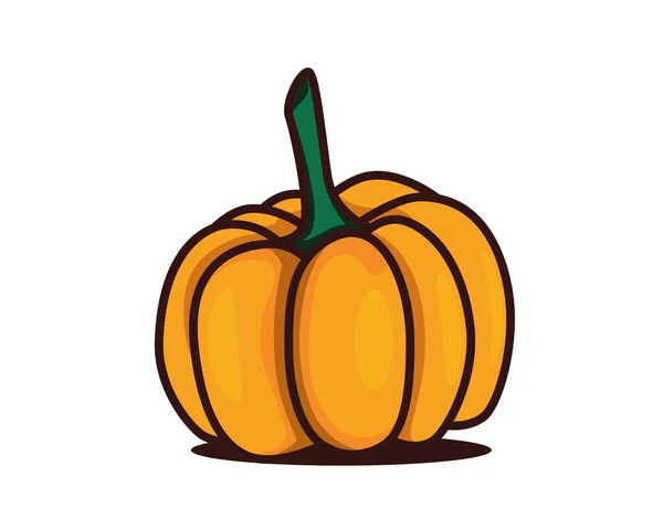 Detailed Ripe Pumpkin Illustration Vector — Stock Vector
