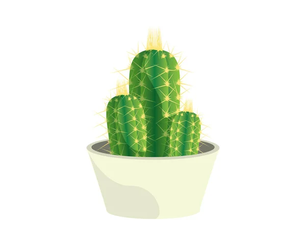 Cactus Detallado Con Vector Pot Illustration — Archivo Imágenes Vectoriales
