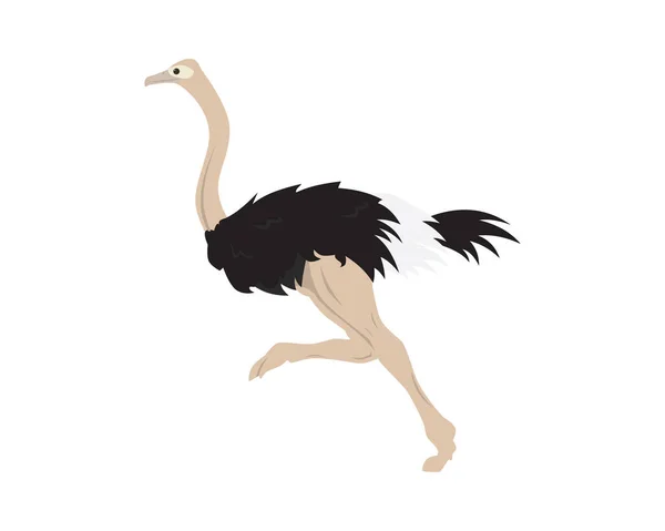 Szczegółowe Ostrich Running Gesture Illustration Vector — Wektor stockowy