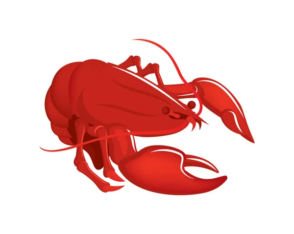 Detailed Lobster Illustration Sea Animal Entity Vector — Stock Vector