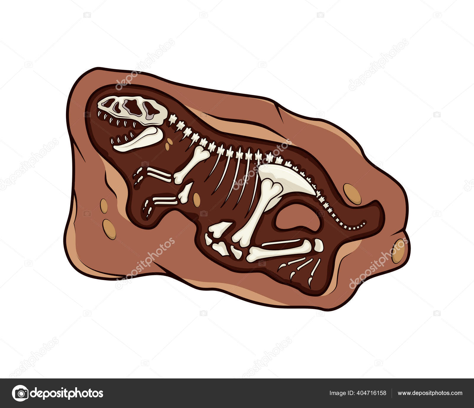 Desenho De Fóssil De Uma Pata De Dinossauro Em Desenho Animado PNG
