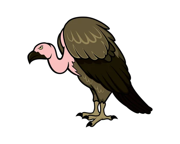 Detailed Vulture Standing Gesture Illustration Vector — Stock Vector