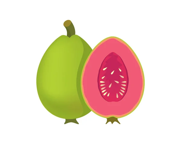 Vector Detallado Ilustración Fruta Guayaba — Archivo Imágenes Vectoriales
