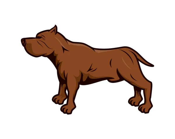 Pitbull Chien Avec Geste Debout Illustration Vecteur — Image vectorielle