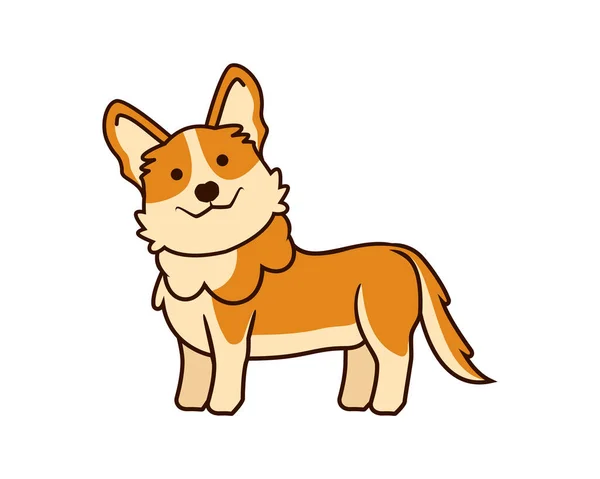 Bonito Doce Corgi Dog Ilustração Vector — Vetor de Stock