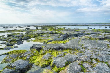 Rocky beack Big Island Hawaii okyanus manzara