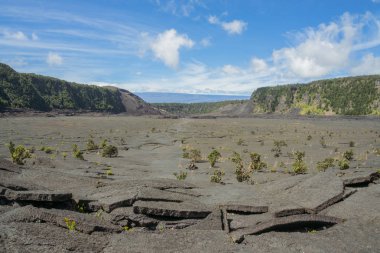 Barren landscape of the Kilauea Iki Trail, Hawaii clipart