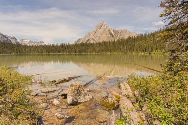 Landschaft Des Kegelberges Mit Totholz Wasserkamm See Vordergrund Kananaskis Alberta — Stockfoto
