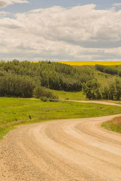 Landscape Winding Dirt Country Road Canola Distance — Stock Photo, Image