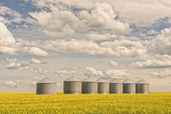 Prairie Canola Fleuri Avec Silos Grains Métalliques Ciel Bleu Nuageux — Photo