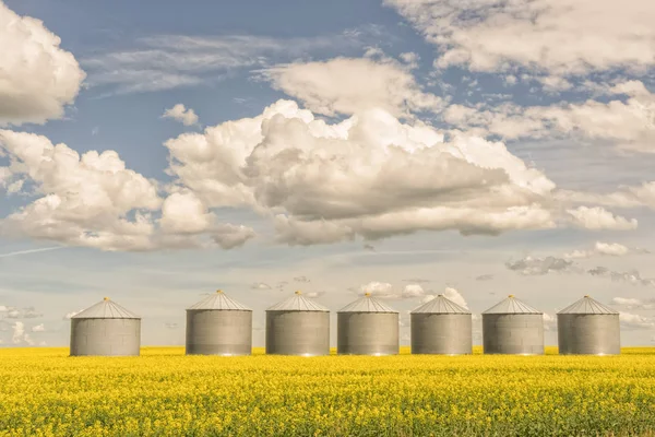 Paysage Silos Grains Dans Champ Canola Avec Ciel Nuageux Bleu — Photo