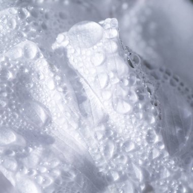 Yağmur damlacıkları Beyaz yaprakları üzerinde