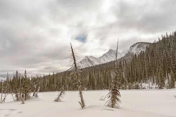 Rocky Dağları kış