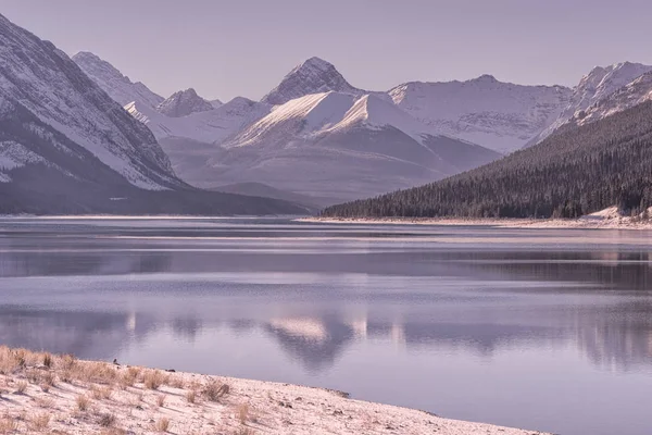 Dawn Mountain Landscape at Spray Lake in Winter — Stock Photo, Image