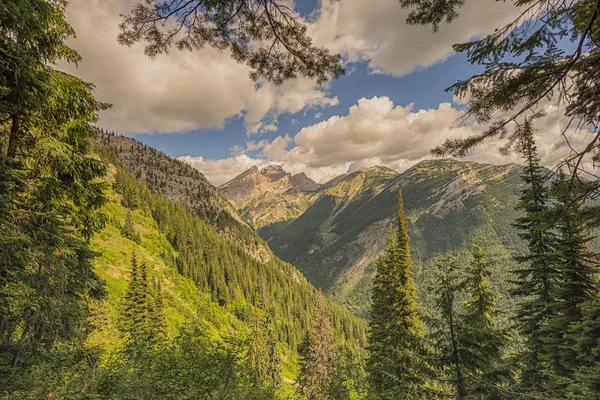 Monte Fernie enmarcado por árboles — Foto de Stock